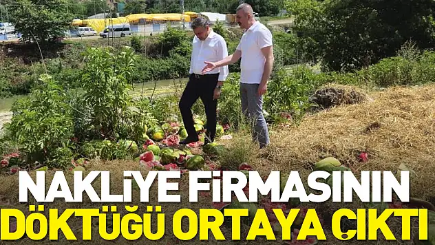 Nakliye firmasının döktüğü ortaya çıktı