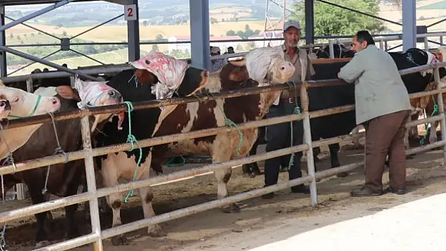 Kurban pazarında hareketlilik