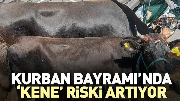 Bayramı'da 'kene' riski