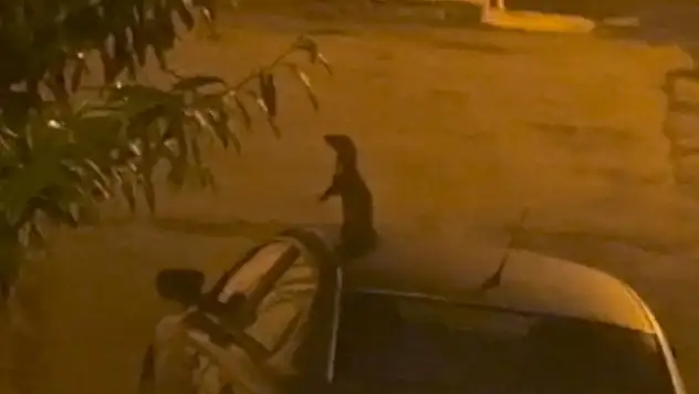 Sokakta yemek ararken görüntülendi