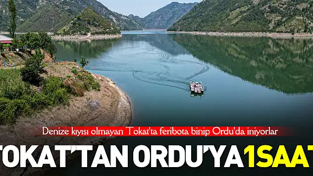 TOKAT ORDU ARASI 1SAAT