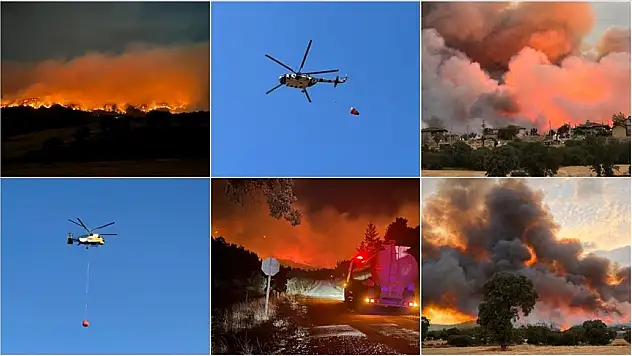 Uşak'ta çıkan orman yangınına müdahale sürüyor