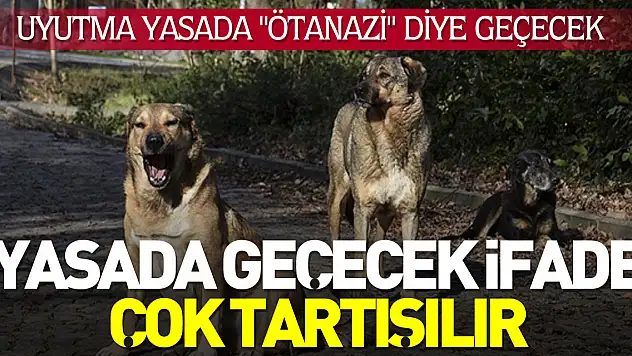 AK Partili isimden çok tartışılacak 'ötanazi' ifadesi