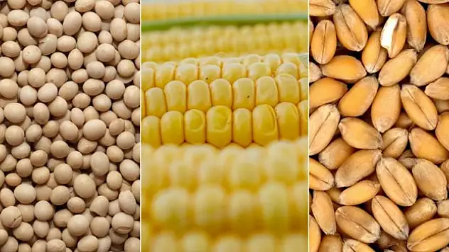 Emtia piyasası geçen hafta iç açıcı bir performans sergilemedi