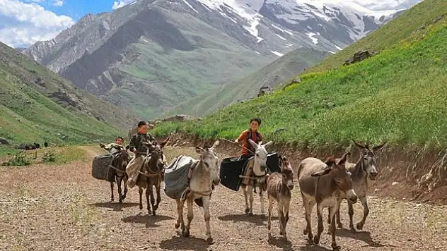 Hakkari'deki Han Yaylası, Şırnaklı göçerleri ağırlıyor