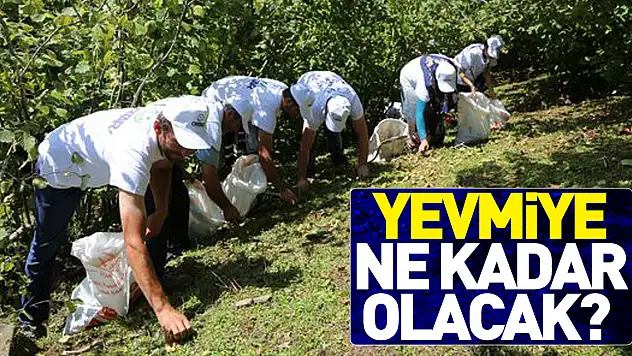 YEVMİYE NE KADAR OLACAK?
