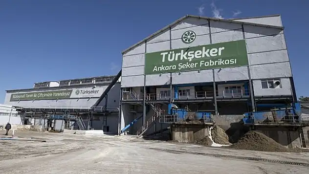 Şeker pancarı tohumları gelecek yıl toprakla buluşacak