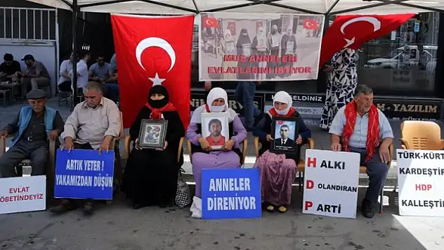 Muşlu ailelerden çocuklarına 'Teslim olun' çağrısı