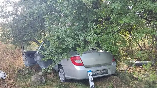 Ağaca çarparak durabildi