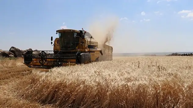 TMO, hububat alım bedellerini üreticilerin hesaplarına aktardı