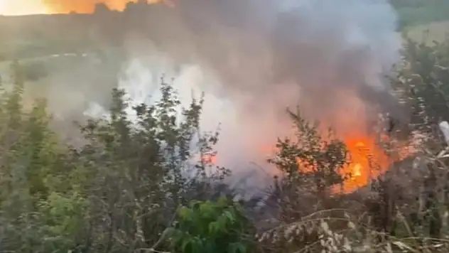 Otluk alanda yangın