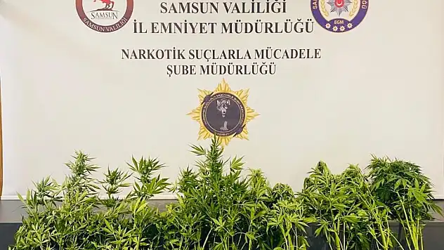 Emniyet göz açtırmıyor