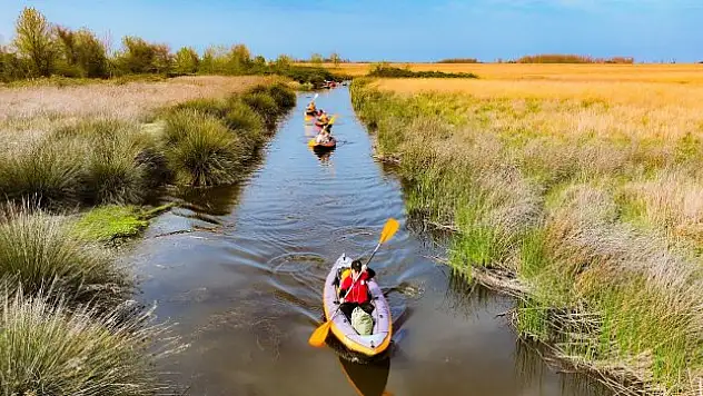 Kano festivali hazırlıklarına devam