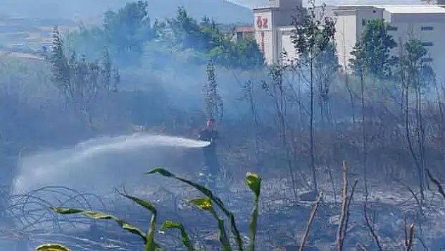 Boş arazide yangın çıktı