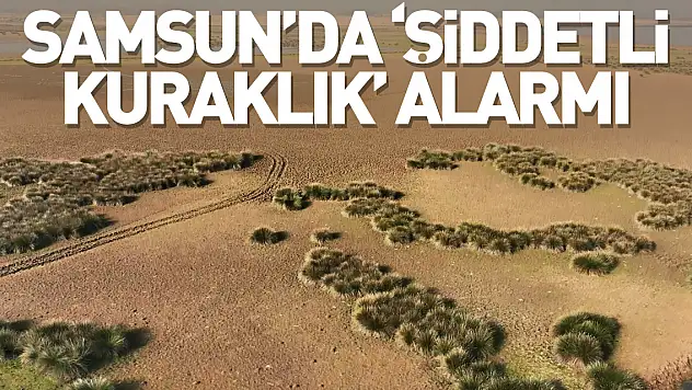 Samsun'da 'şiddetli kuraklık' alarmı