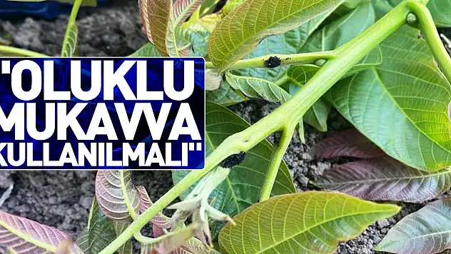 'Oluklu mukavva kullanılmalıdır'