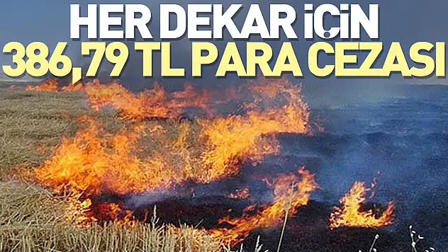 Her dekar için 386,79 TL para cezası