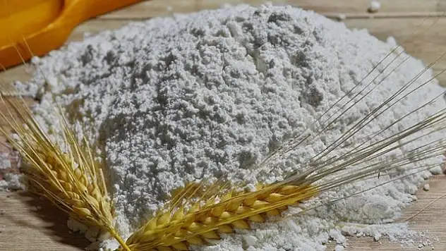 Un ihracatı yılın ilk yarısında yüzde 15 arttı