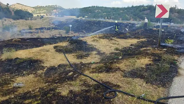 D-100 karayolunda yangın