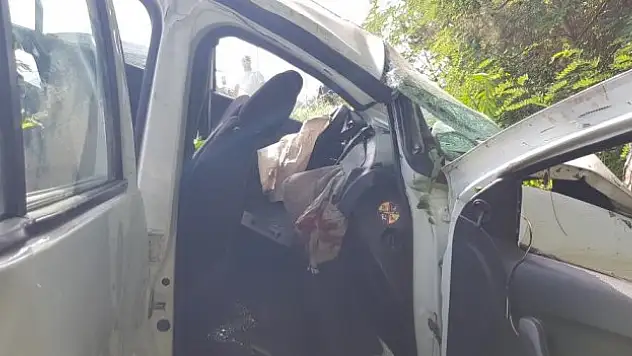 Kontrolden çıkarak ağaca çarptı