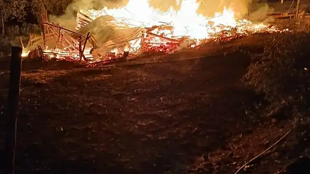 Ahşap evde yangın çıktı