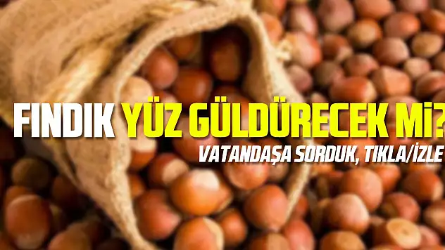 Fındık yüz güldürecek mi?