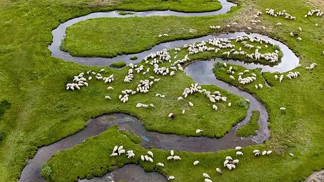 Göl ve menderesleri hayvancılığa hayat veriyor