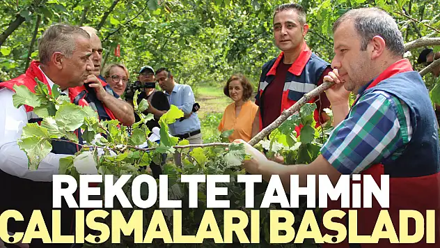 REKOLTE TAHMİN ÇALIŞMALARI BAŞLADI