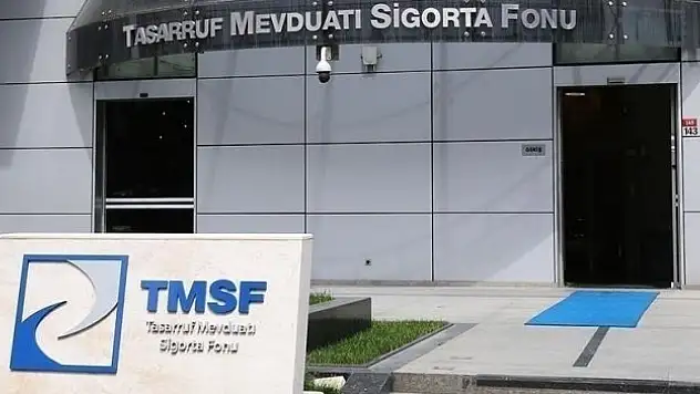 TMSF beş varlığı satışa çıkardı