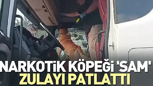 Narkotik köpeği 'Sam' zulayı patlattı