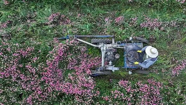 Yılın ilk yarısında rekor