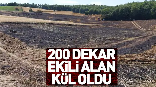 200 dekar ekili alan kül oldu