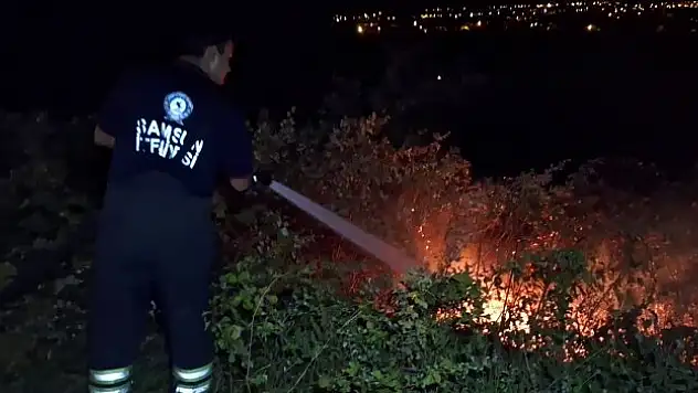 Otluk alanda yangın çıktı