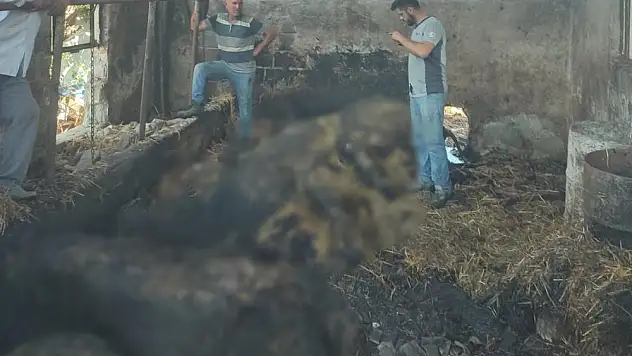 Ahırda çıkan yangın maddi zarara yol açtı