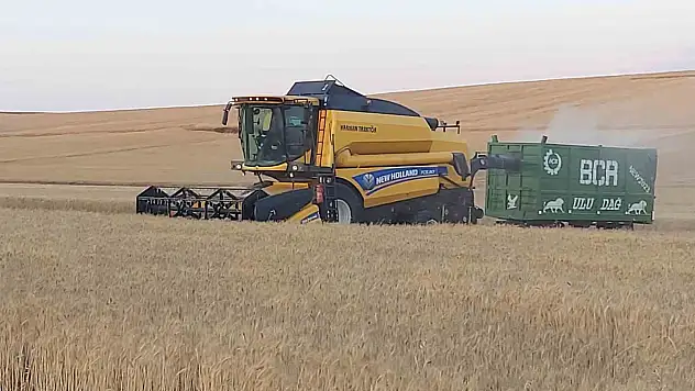 770 bin dekarda hububat hasadı yapılacak