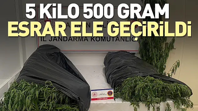 5 kilo 500 gram esrar ele geçirildi