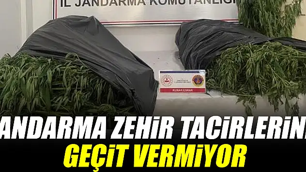 Jandarma zehir tacirlerine geçit vermiyor