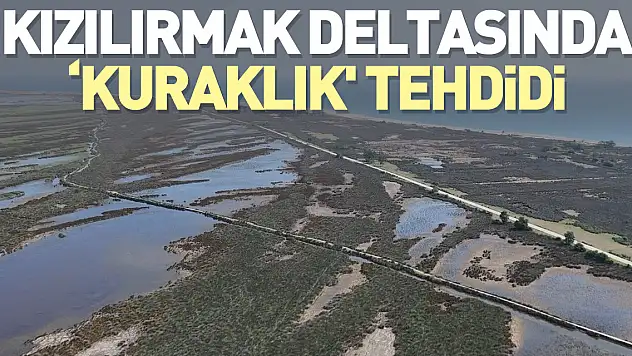 Deltada 'kuraklık' tehdidi