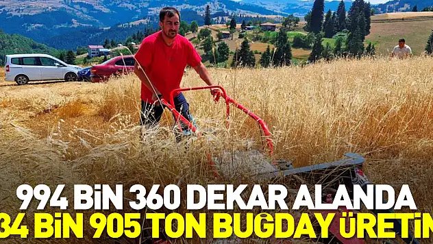994 bin 360 dekar alanda 234 bin 905 ton buğday üretimi