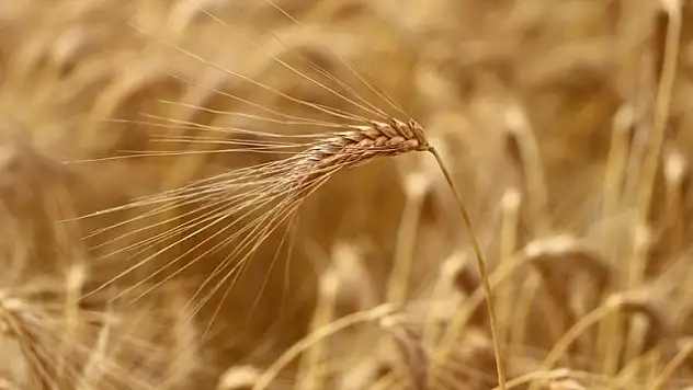 Veriminden üreticiler memnun