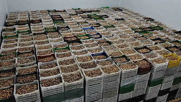 Kuru meyve sektörü 2024 yılında ilk kez 1 milyar doları geçti