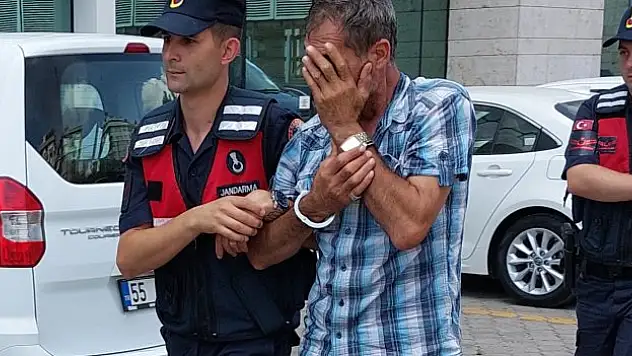 Sahte ehliyetten yakalananlar serbest