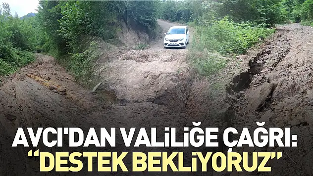 Avcı'dan Valiliğe Çağrı: 'Destek Bekliyoruz'