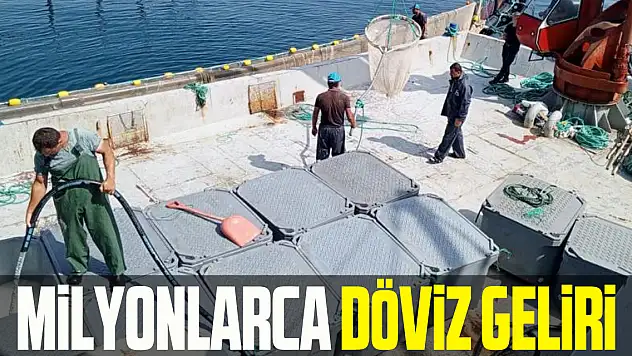 MiLYONLARCA DÖViZ GELiRi