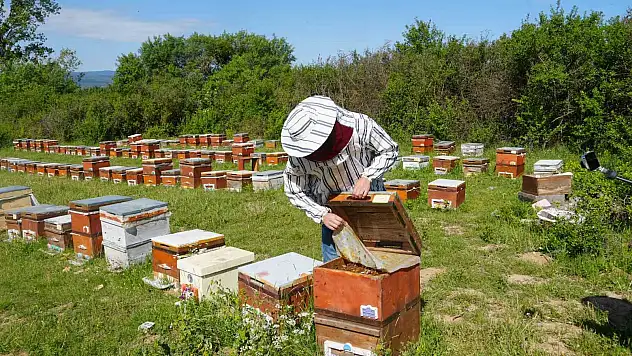 Üretimi yüzde 75 düşürdü