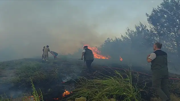ADANA'DA ORMAN YANGINI