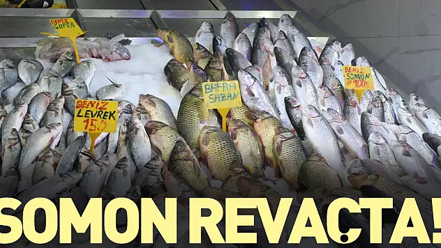 Somon revaçta!