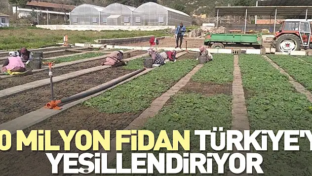 10 milyon fidan Türkiye'yi yeşillendiriyor