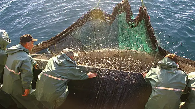 Artan avlanma süreleri balıkçılığı sürdürülebilirlikten uzaklaştırıyor