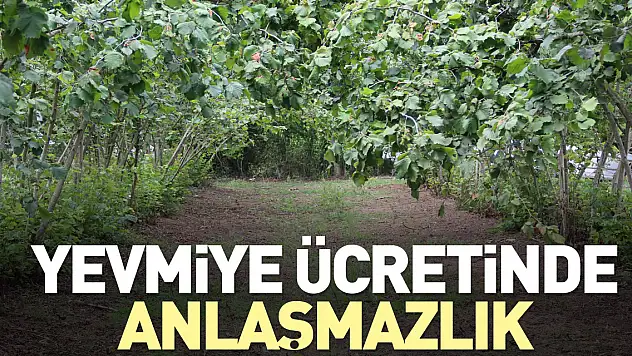 YEVMİYE ÜCRETİNDE ANLAŞMAZLIK